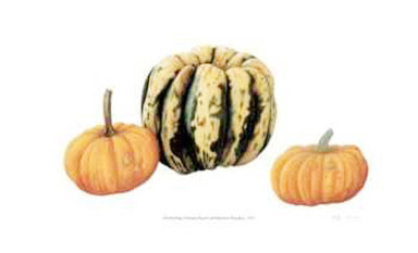 Variegata Squash & Miniature Pumpkins