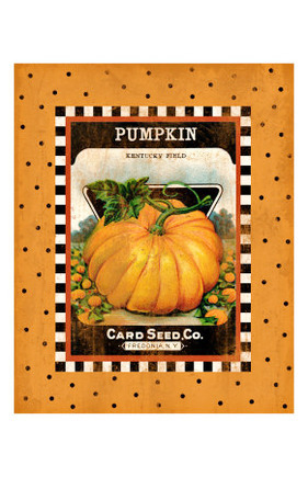 Pumpkin Seed Pack