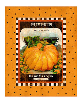 Pumpkin Seed Pack