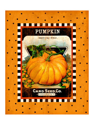 Pumpkin Seed Pack