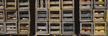 Crates of Gourds and Pumpkins, South Dakota, USA