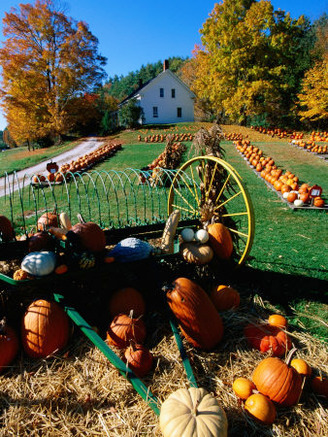 Pumpkin Patch Store, Pownal, Vermont