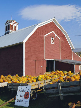 Pumpkins for Sale in Front of a Red Barn, Vermont, New England, USA