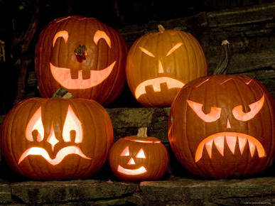 Row of Carved, Lit Pumpkins, Lexington, Massachusetts
