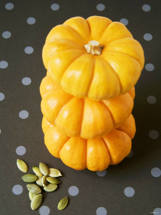 Three Baby Pumpkins in a Pile, Pumpkin Seeds