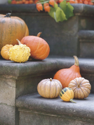 Pumpkins on Stairs