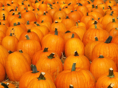 Pumpkins