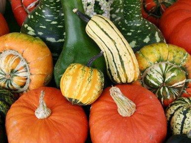 Autumn Colors Abound in This Stack of Pumpkins and Squash