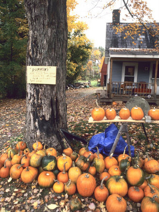 Pumpkins For Sale in New England