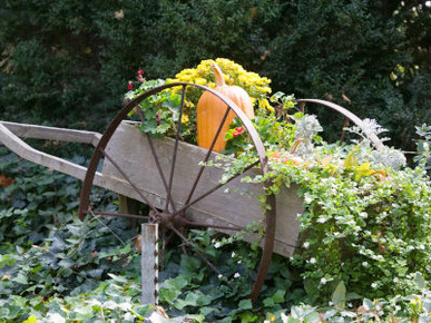 Decorative Wagon and Pumpkin, Ste. Genevieve, Missouri, USA