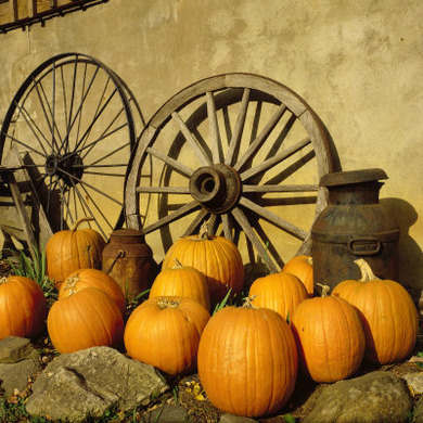 Pumpkins, Wagon Wheels and Milk Can, Todd, NC