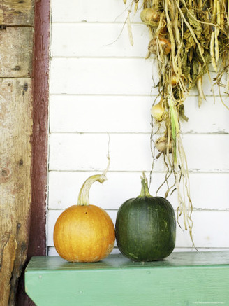 Two Pumpkins on a Bench, King's Landing Historical Settlement