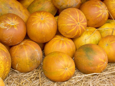 Pumpkin Stand, Vegetable Market, Khon Kaen, Isan, Thailand