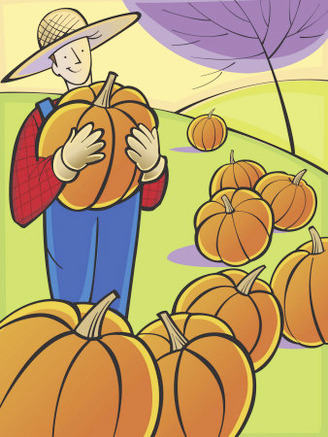 Proud Farmer Standing in Field of Pumpkins