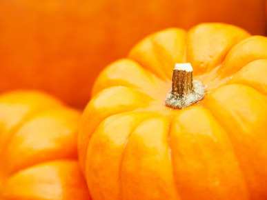 Group of Two Bright Orange Pumpkins