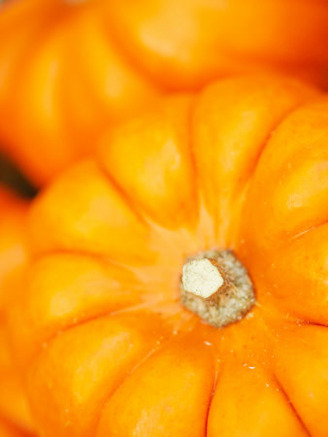 Autumnal Scene of a Variety of Pumpkins
