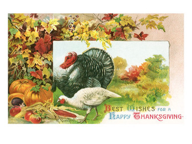 Turkeys Amongst Pumpkins and Corn, 1910