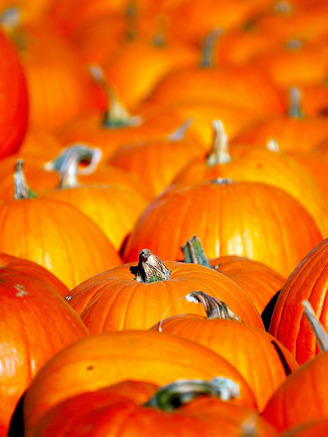 Pumpkins