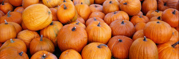 Pumpkins
